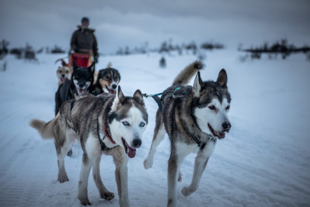 Od czego zależy udany kemping zimą?
