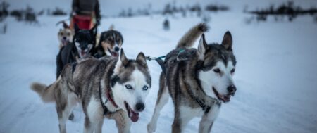 Od czego zależy udany kemping zimą?